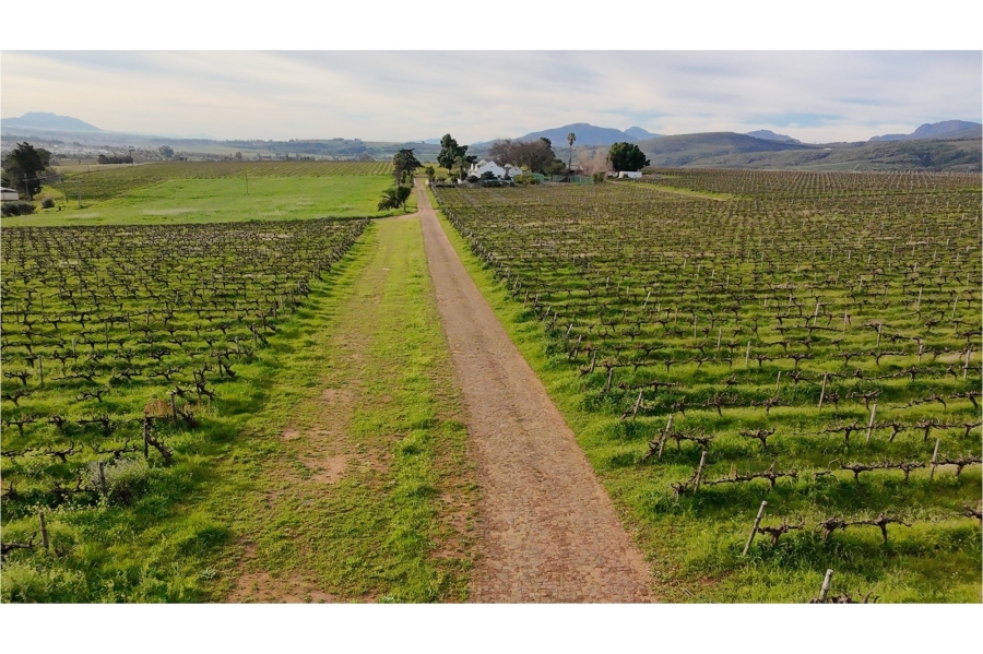 0 Bedroom Property for Sale in Paarl Rural Western Cape